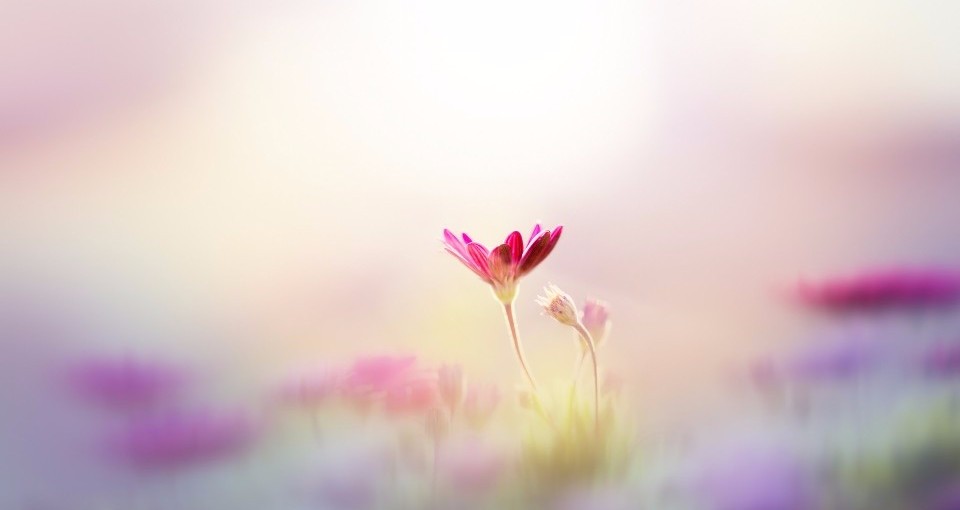 光爱学校孩子鞋码